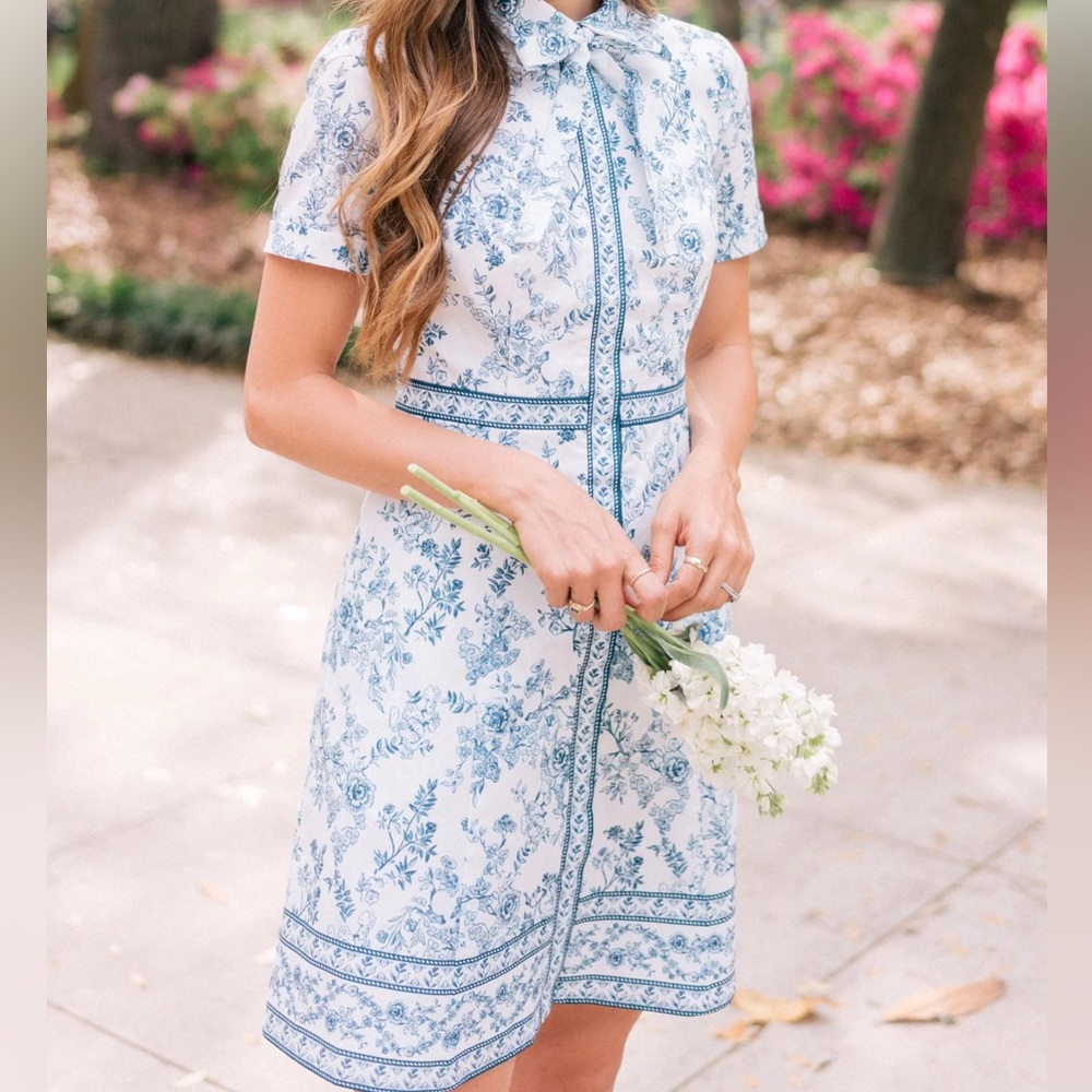 Gal Meets Glam Darla Dress